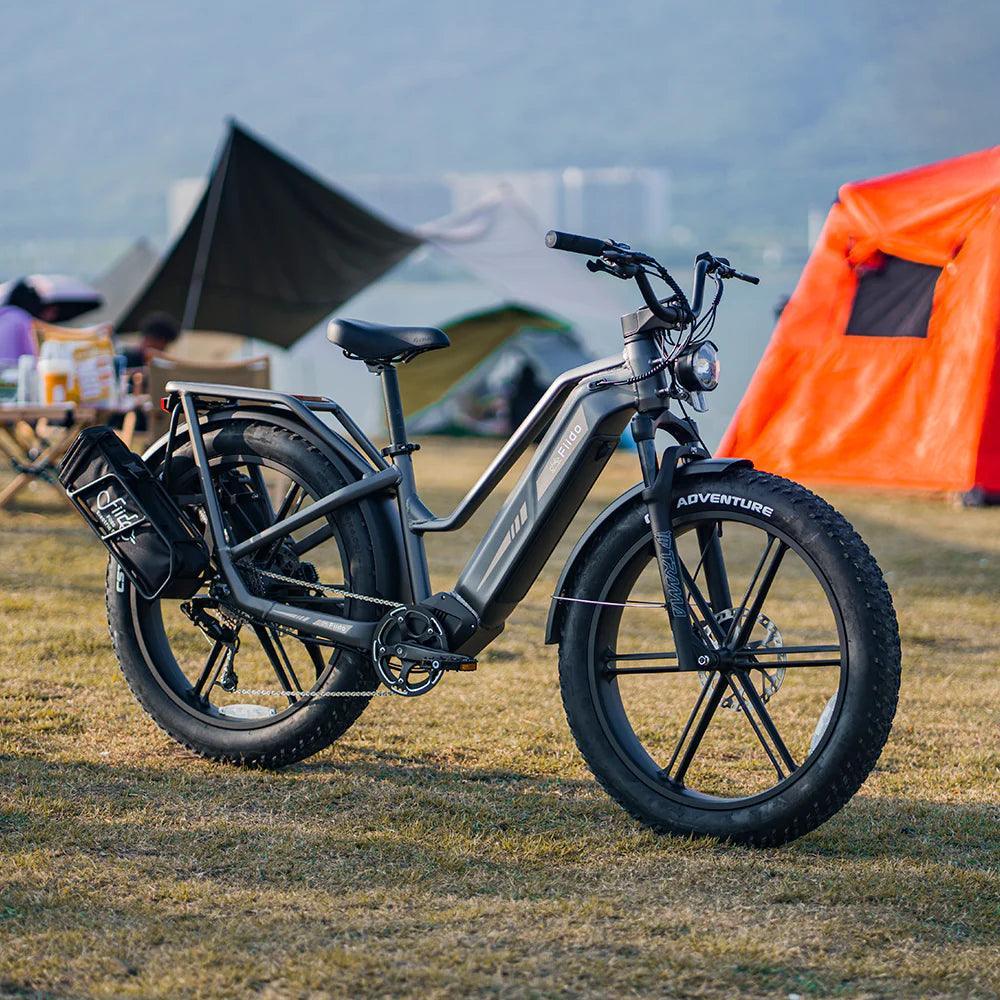 Fiido Titan Robust Cargo Off Road E-Bike
