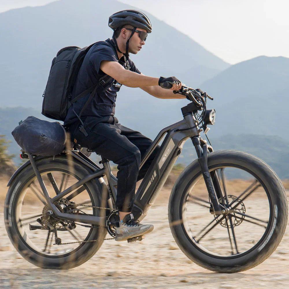Fiido Titan Robust Cargo Off Road E-Bike