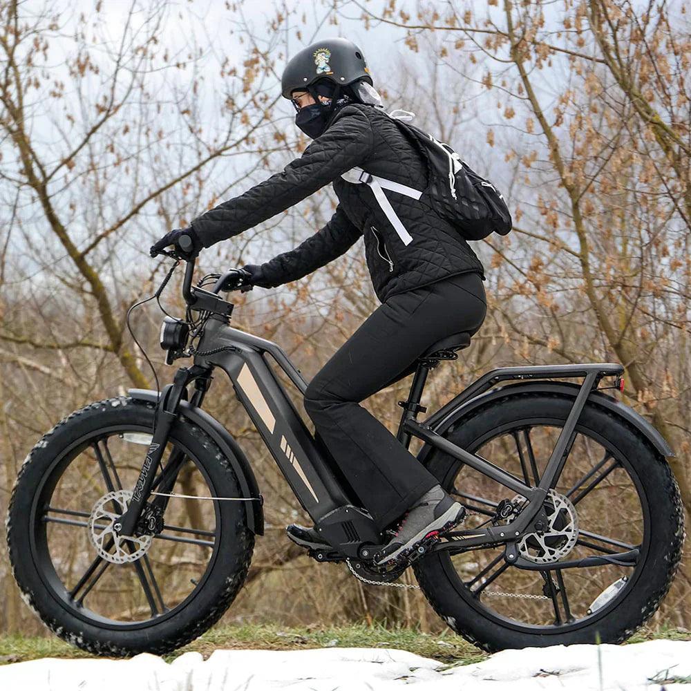 Fiido Titan Robust Cargo Off Road E-Bike