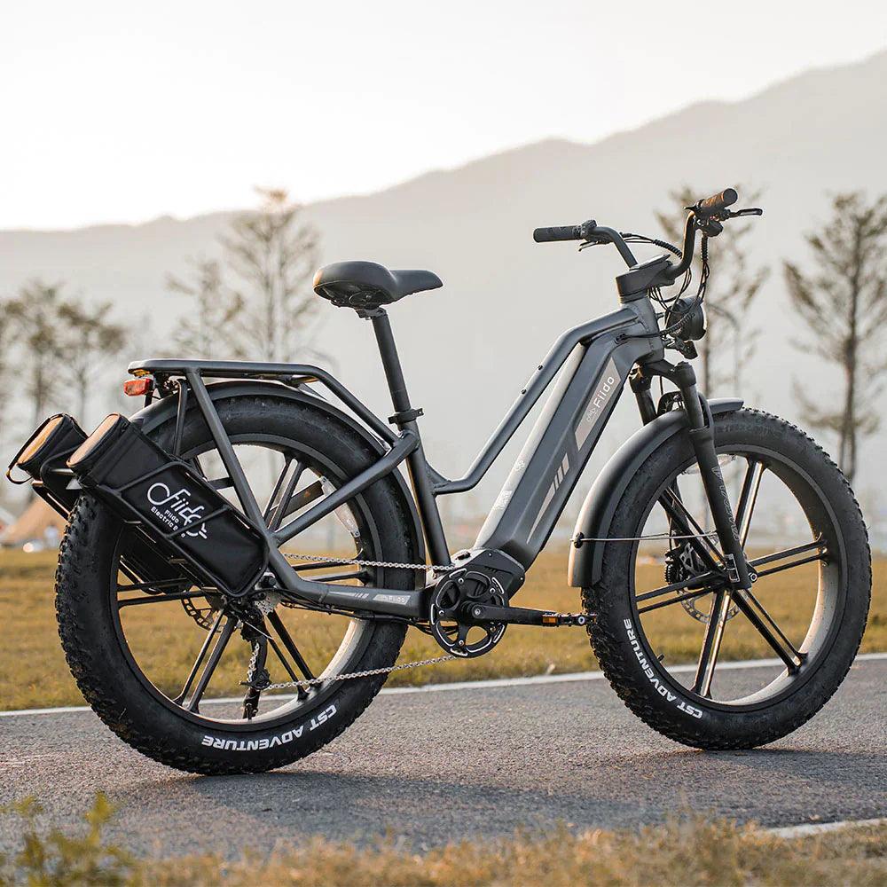 Fiido Titan Robust Cargo Off Road E-Bike