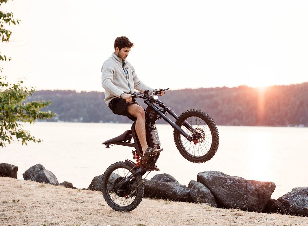 Freego X2 Dirt Master Off-Road eBike