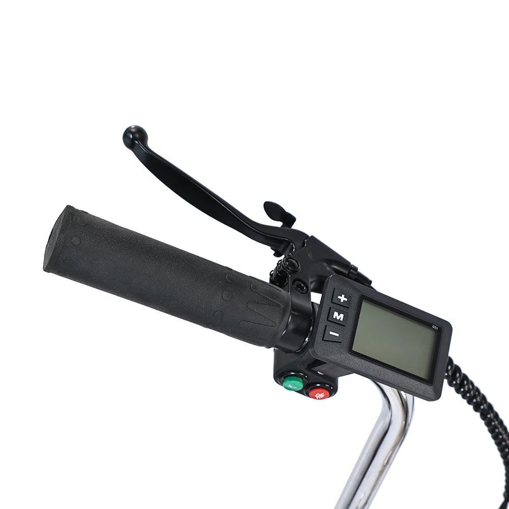Gogobest GF100 Electric Tricycle Cargo E-bike