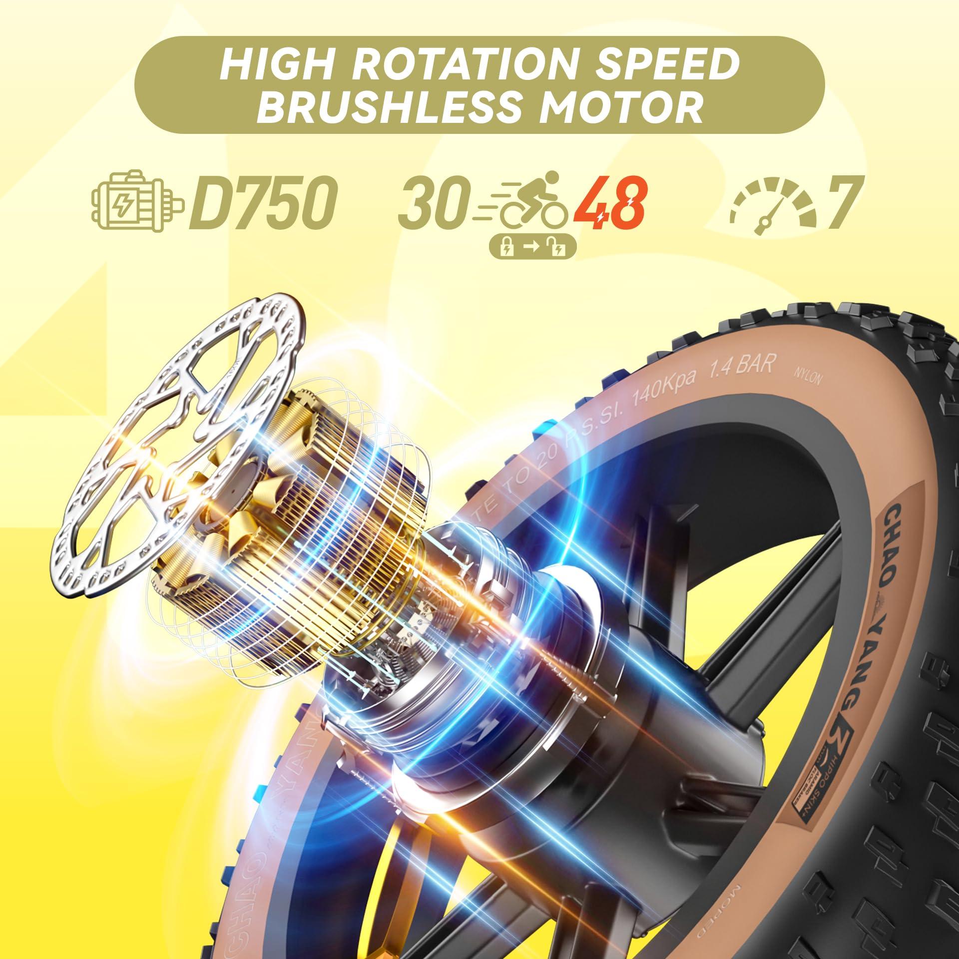 JANSNO X70 Off Road E-Bike