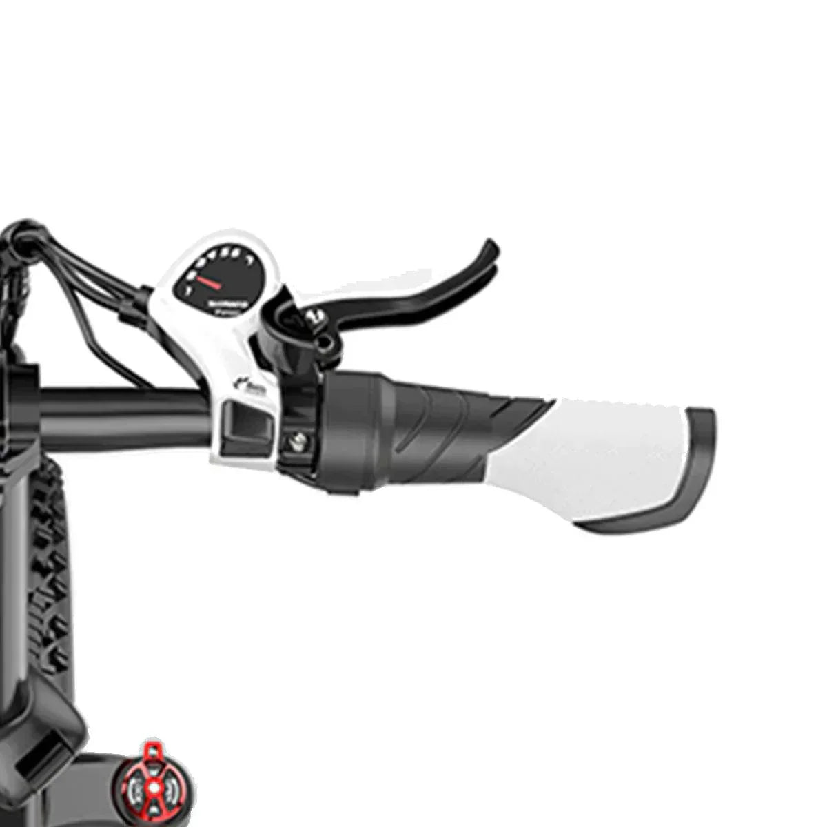Lankeleisi RV700 Off Road E-Bike