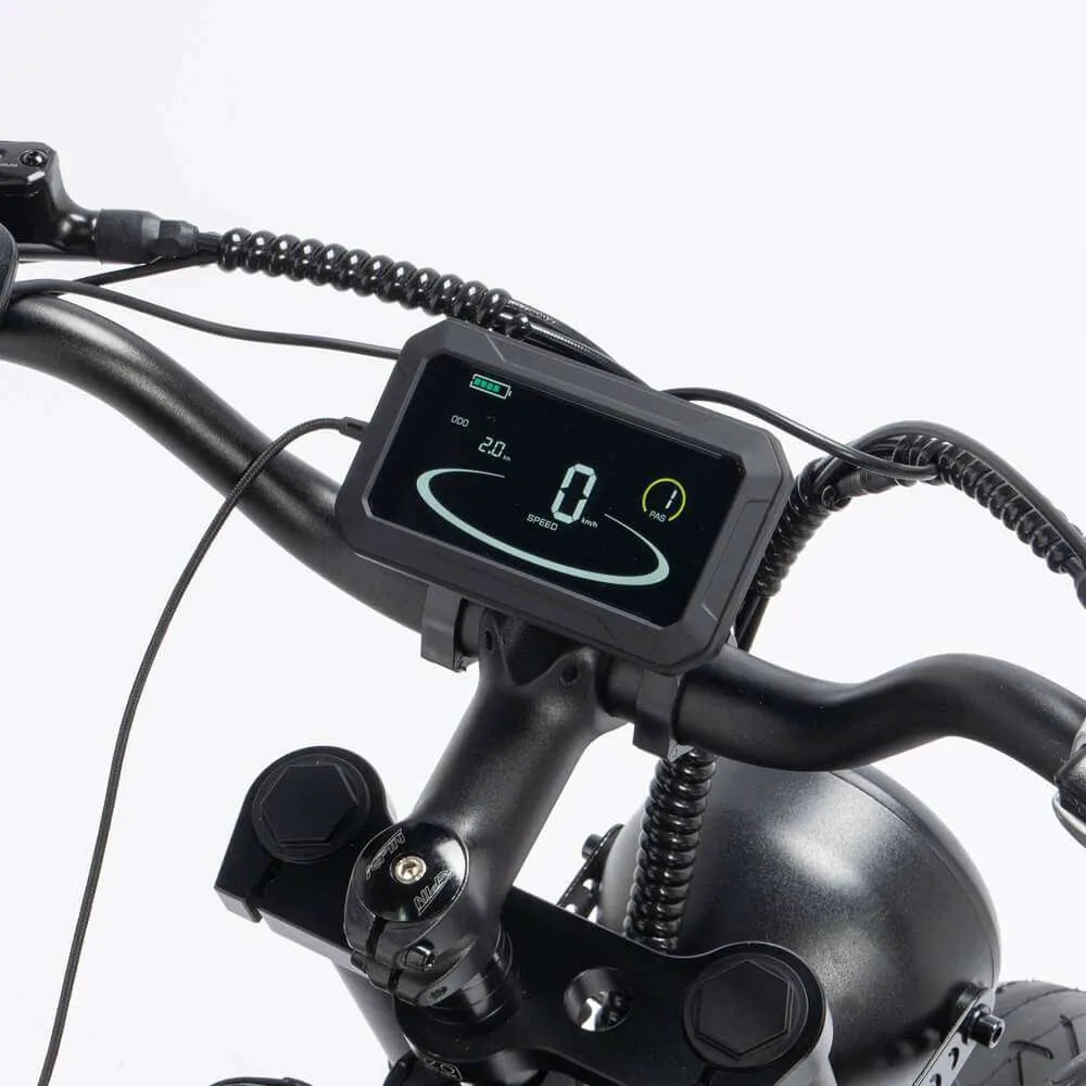 YVY C20 Pro Off Road E-Bike