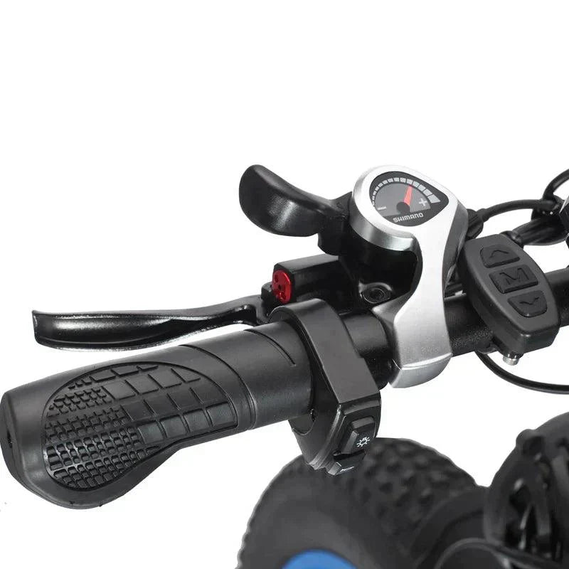 Philodo H8 Dual Motor Cargo Off Road E-Bike