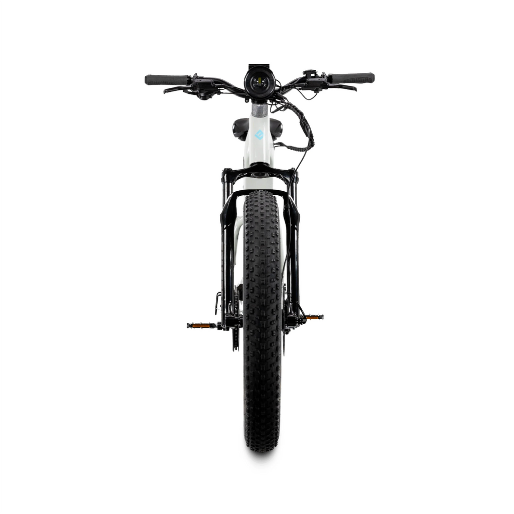 XPeak2 Step-Thru Long-Range eBike