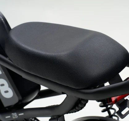 Z8 Electric Bike
