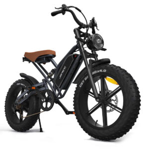 JANSNO ‎X50 Off Road E-Bike