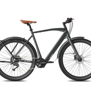 Fafrees F700M Electric Bike