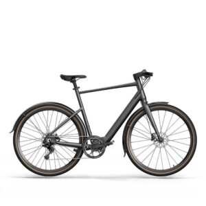 Fiido E-Gravel C21 Electric Bike