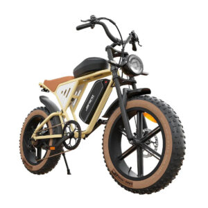 JANSNO X70 Off Road E-Bike