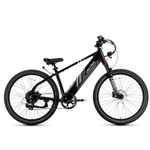 XPress 750 High-Step eBike