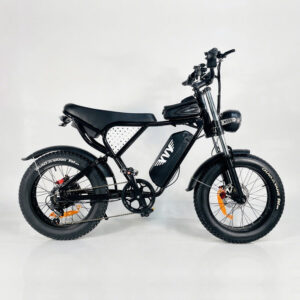 YVY C20 Off Road E-Bike