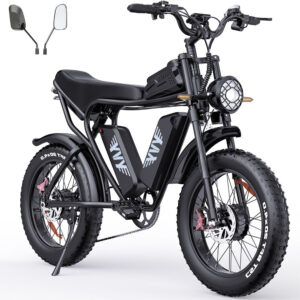 YVY C20 Pro Off Road E-Bike