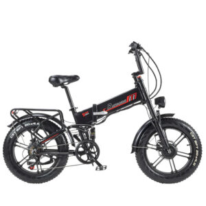 RANDRIDE YX20M-2 Dual Motor Off Road E-Bike