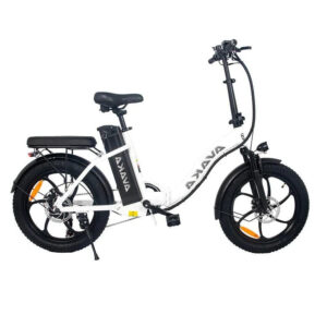 AVAKA BZ20 PLUS Off Road E-Bike