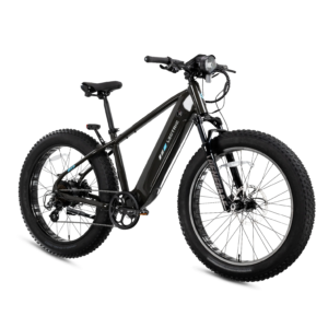 XPeak2 High-Step Long-Range eBike