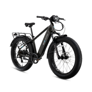 XPeak2 High-Step eBike