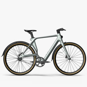 Fiido Air Ultra-Light Carbon Fiber E-Bike