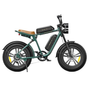 ENGWE M20 Electric Bike