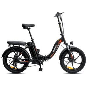 FAFREES F20 Folding Electric Bike