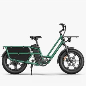 Fiido T2 Longtail Cargo Off Road E-Bike