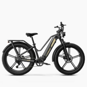 Fiido Titan Robust Cargo Off Road E-Bike