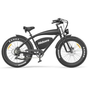 Hidoes B3 Electric Off Road E-Bike