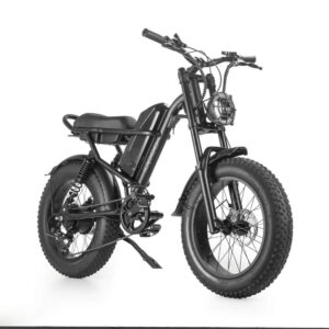 Z8 Electric Bike