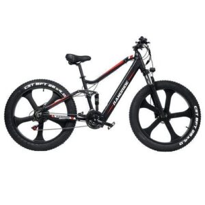 RANDRIDE YX90M Off Road E-Bike
